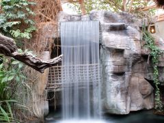 Crocodile Waterfall