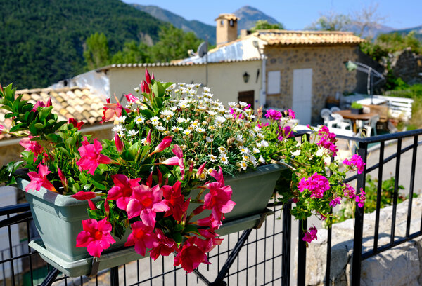 Glimpse of Provence